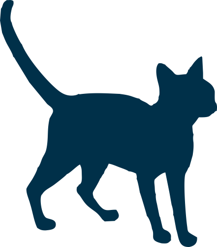 gatito1