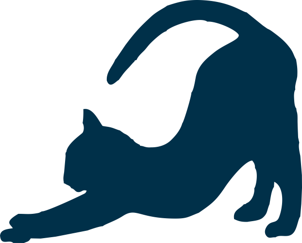 gatito2